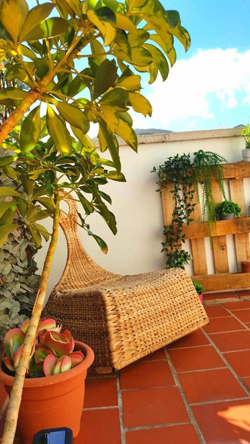 Appartement Atico En El Corazon De Santa Cruz/ Cozy Penthouse Extérieur photo