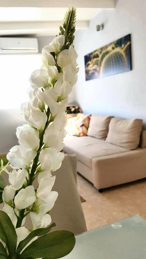 Appartement Atico En El Corazon De Santa Cruz/ Cozy Penthouse Extérieur photo